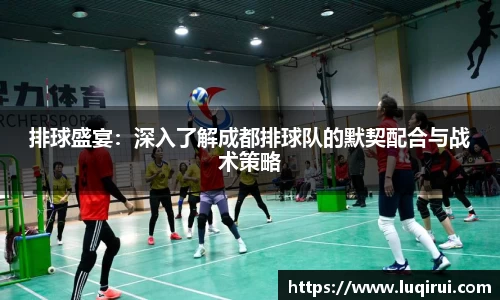 排球盛宴：深入了解成都排球队的默契配合与战术策略
