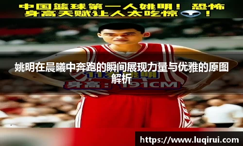 k1体育